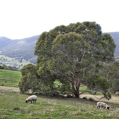 House On The Hill Bed And Breakfast Huonville Exterior foto